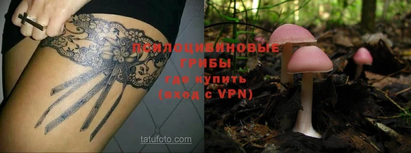 стаф Алексин