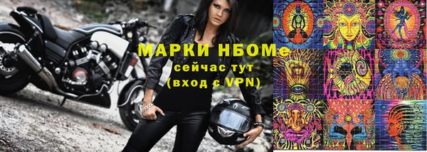 индика Алзамай