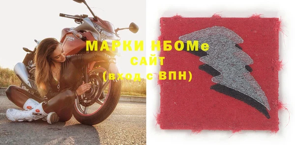 индика Алзамай