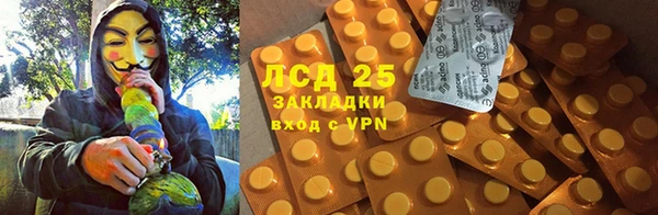 стаф Алексин