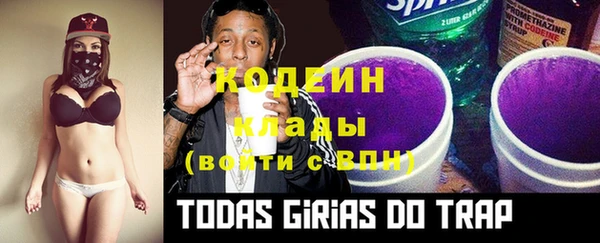 индика Алзамай