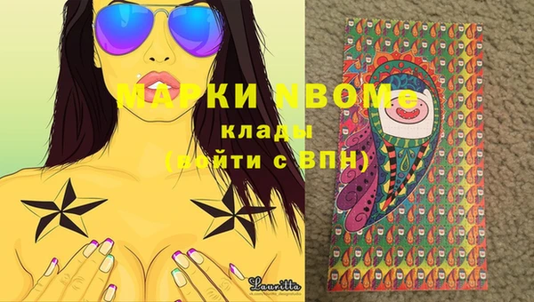 стаф Алексин